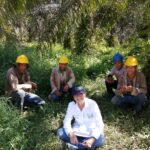 a woman smiling with three men wearing construction helmets surrounded by oil palm trees