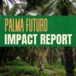 A man wearing a hard hat holding a long pole in a forest of oil palm trees. Text: Palma Futuro Impact Report" with SAI and Partners of the Americas logo