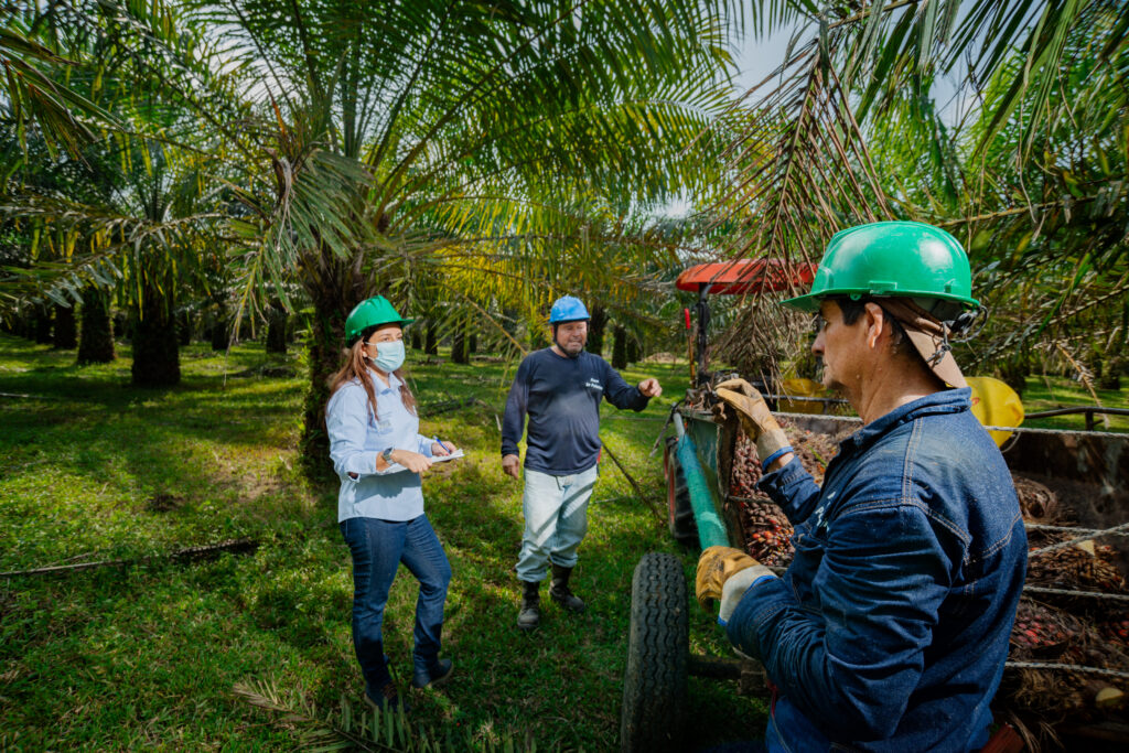 Yolanda stands in an oil palm tree field talking to two men in hard hats